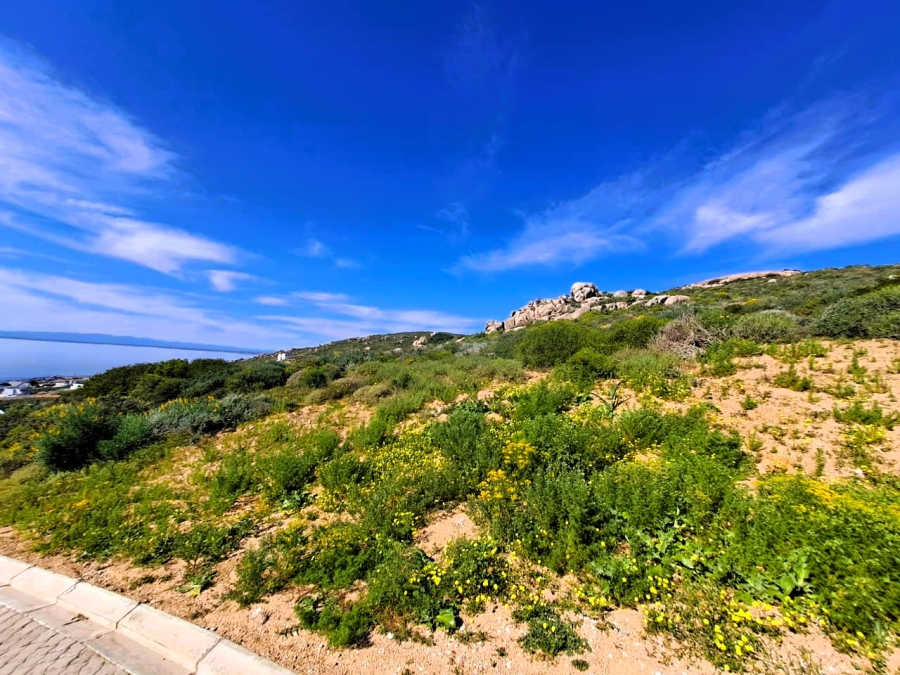 0 Bedroom Property for Sale in Steenbergs Cove Western Cape